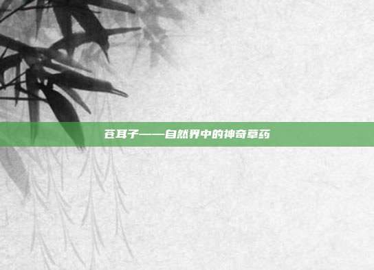 苍耳子——自然界中的神奇草药