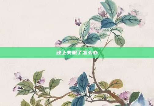 晚上失眠了怎么办