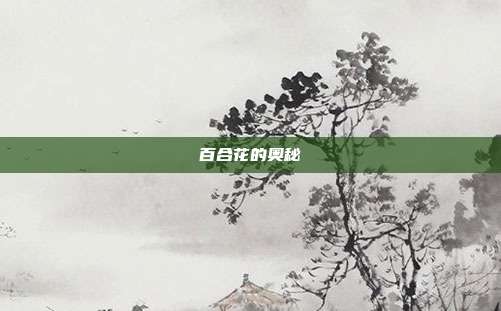 百合花的奥秘