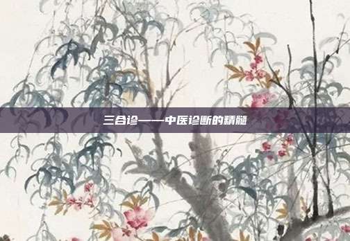 三合诊——中医诊断的精髓