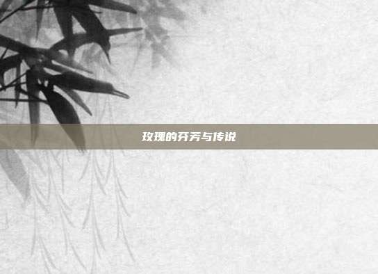 玫瑰的芬芳与传说