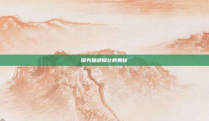 探究腿部粗壮的奥秘