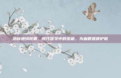 消栓通络胶囊,现代医学中的宝藏,为血管健康护航