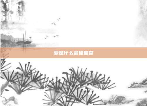 爱是什么最佳回答