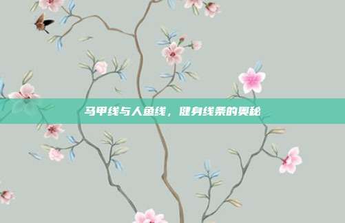 马甲线与人鱼线，健身线条的奥秘