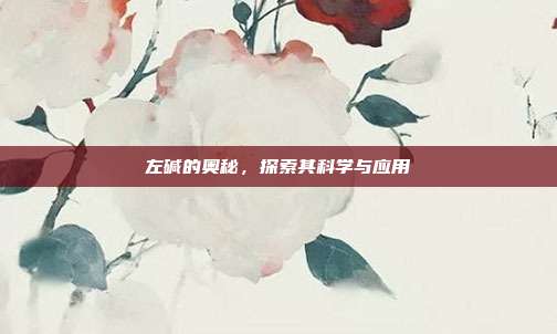 左碱的奥秘，探索其科学与应用