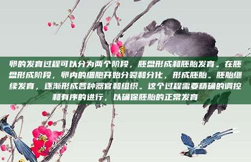 卵的发育过程可以分为两个阶段，胚盘形成和胚胎发育。在胚盘形成阶段，卵内的细胞开始分裂和分化，形成胚胎。胚胎继续发育，逐渐形成各种器官和组织。这个过程需要精确的调控和有序的进行，以确保胚胎的正常发育
