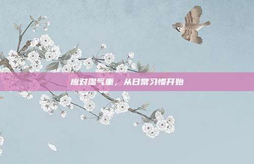 应对湿气重，从日常习惯开始