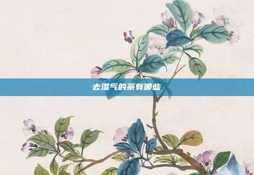 去湿气的茶有哪些