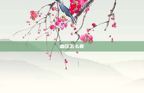 血压怎么看