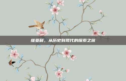 维亚利,从历史到现代的探索之旅