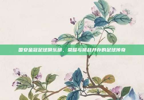 国安金冠足球俱乐部，荣耀与挑战并存的足球传奇