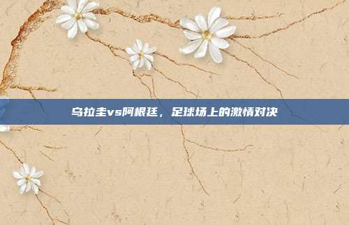 乌拉圭vs阿根廷，足球场上的激情对决