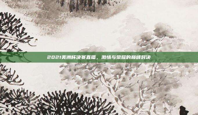 2021美洲杯决赛直播,激情与荣耀的巅峰对决