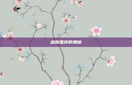 越南国旗的奥秘