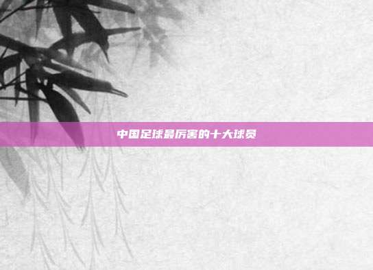 中国足球最厉害的十大球员