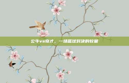 公牛vs奇才，一场篮球对决的较量