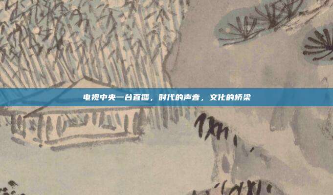 电视中央一台直播,时代的声音,文化的桥梁