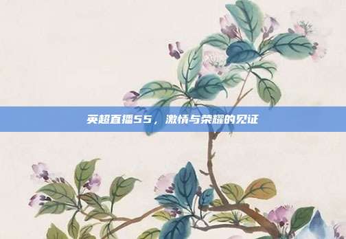 英超直播55，激情与荣耀的见证