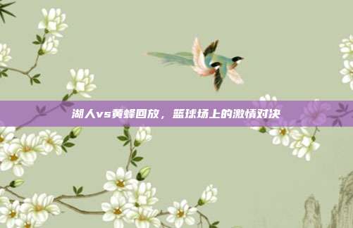 湖人vs黄蜂回放，篮球场上的激情对决