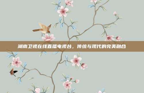 湖南卫视在线直播电视台，传统与现代的完美融合