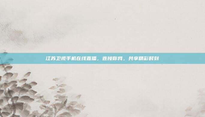 江苏卫视手机在线直播，连接你我，共享精彩时刻