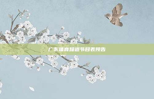 广东体育频道节目表预告