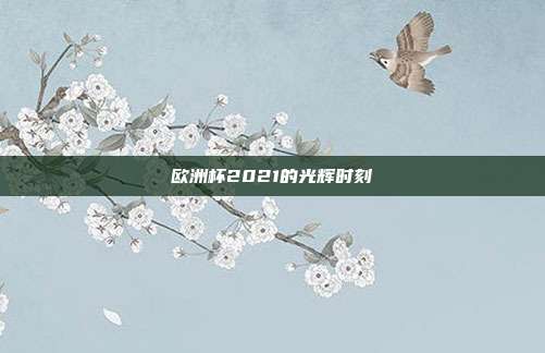 欧洲杯2021的光辉时刻