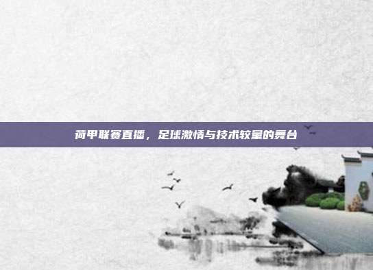 荷甲联赛直播,足球激情与技术较量的舞台