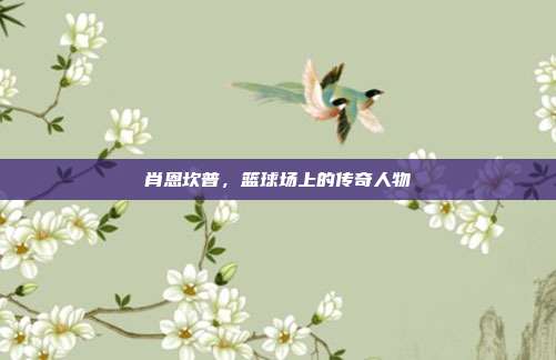 肖恩坎普，篮球场上的传奇人物