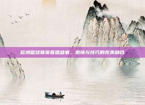 欧洲篮球联赛直播盛宴，激情与技巧的完美融合