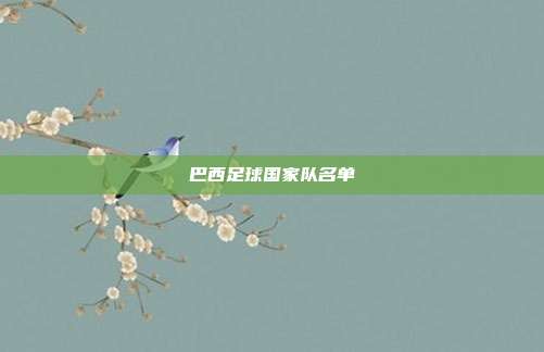 巴西足球国家队名单