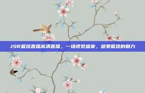JSR篮球直播高清直播，一场视觉盛宴，感受篮球的魅力