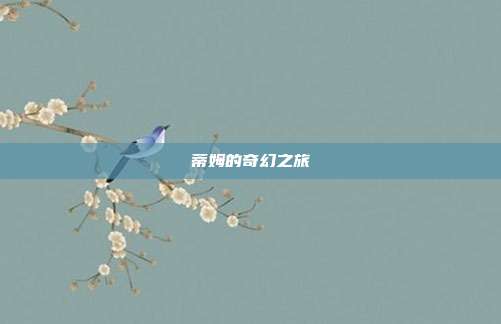 蒂姆的奇幻之旅