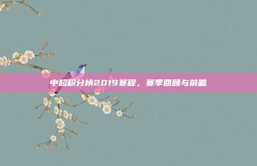 中超积分榜2019赛程，赛季回顾与前瞻