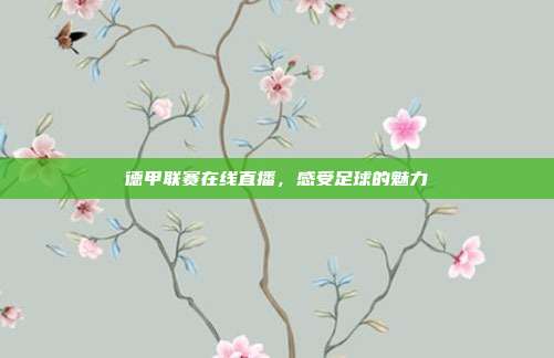 德甲联赛在线直播，感受足球的魅力