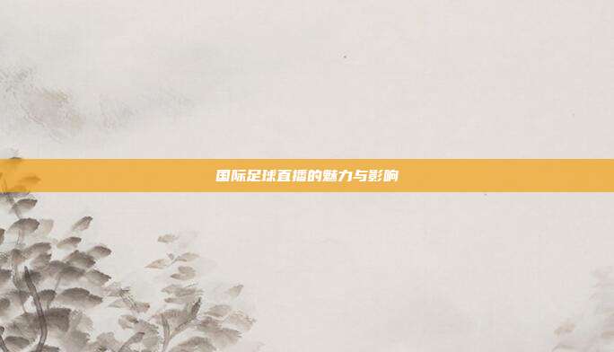 国际足球直播的魅力与影响