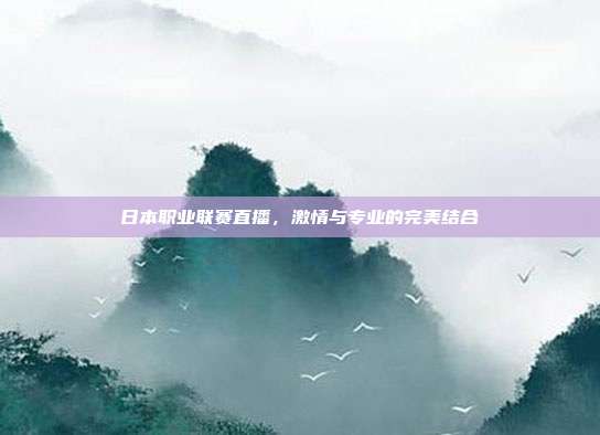 日本职业联赛直播，激情与专业的完美结合