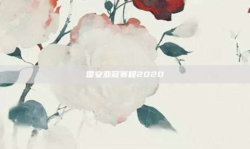 国安亚冠赛程2020