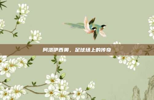阿洛伊西奥，足球场上的传奇
