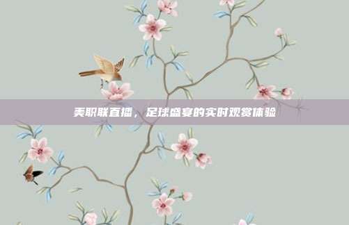 美职联直播，足球盛宴的实时观赏体验