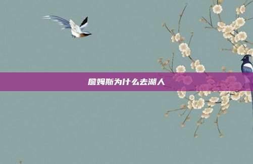 詹姆斯为什么去湖人
