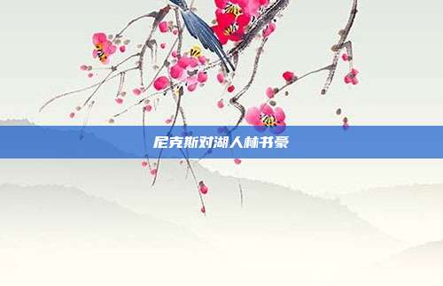 尼克斯对湖人林书豪