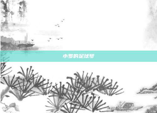 小罗的足球梦