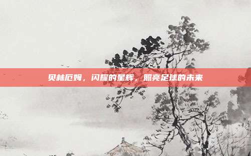 贝林厄姆，闪耀的星辉，照亮足球的未来