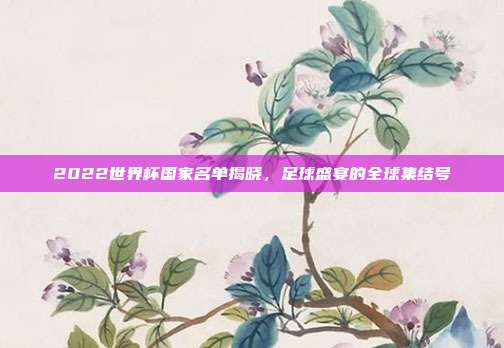 2022世界杯国家名单揭晓，足球盛宴的全球集结号