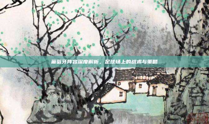 葡萄牙阵容深度解析，足球场上的战术与策略
