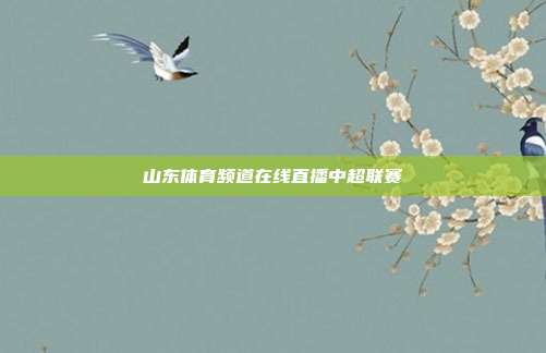 山东体育频道在线直播中超联赛
