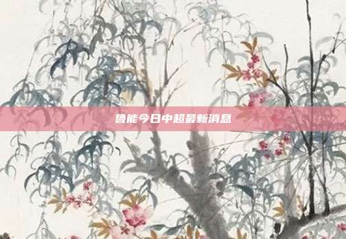 鲁能今日中超最新消息