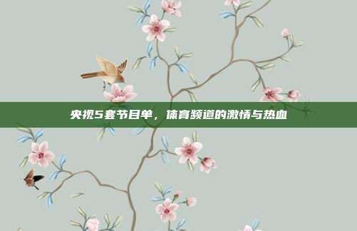 央视5套节目单,体育频道的激情与热血